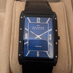 Sleek Skagen Blue and Black Watch With Titanium Case